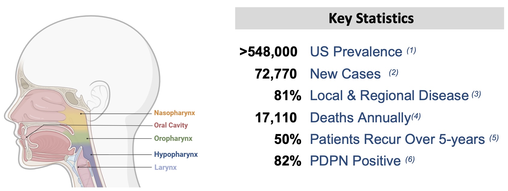 Key HNC Statistics