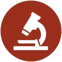 Preclinical evidence
